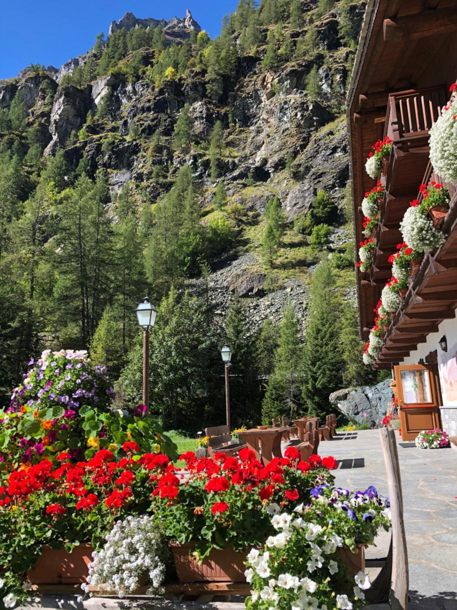 Residence Oberteil Gressoney-La-Trinite Bagian luar foto