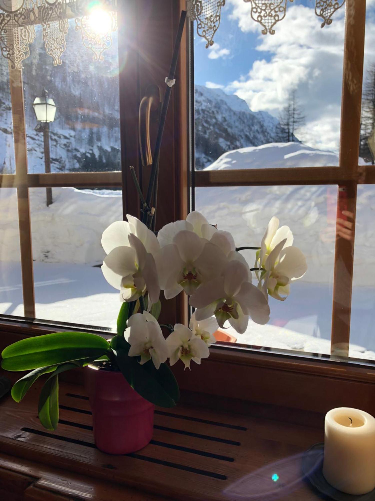 Residence Oberteil Gressoney-La-Trinite Bagian luar foto